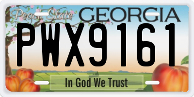 GA license plate PWX9161