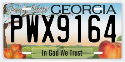 GA license plate PWX9164