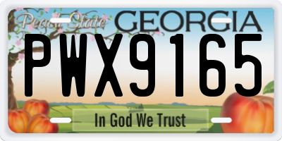 GA license plate PWX9165