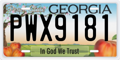GA license plate PWX9181