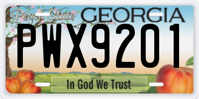GA license plate PWX9201