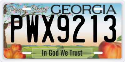 GA license plate PWX9213