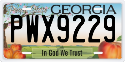 GA license plate PWX9229