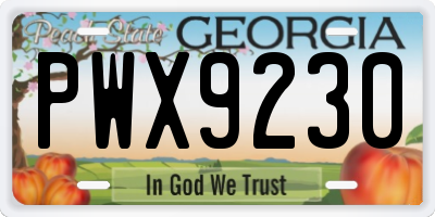 GA license plate PWX9230