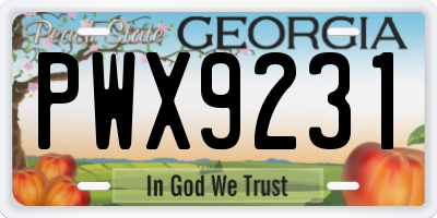GA license plate PWX9231