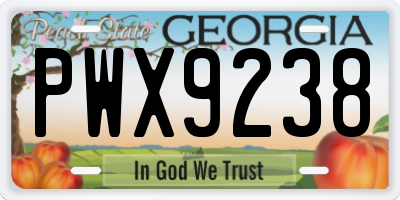 GA license plate PWX9238