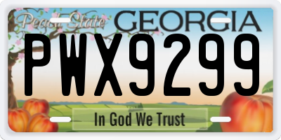 GA license plate PWX9299