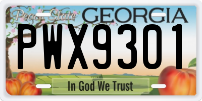 GA license plate PWX9301