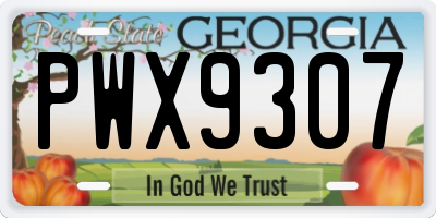 GA license plate PWX9307