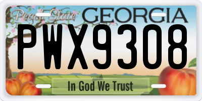GA license plate PWX9308