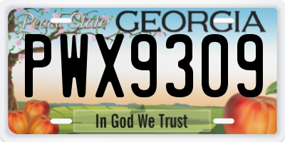 GA license plate PWX9309