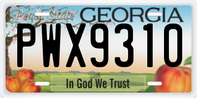 GA license plate PWX9310