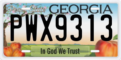 GA license plate PWX9313