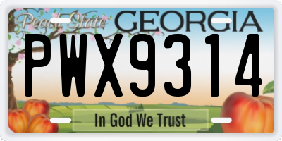 GA license plate PWX9314
