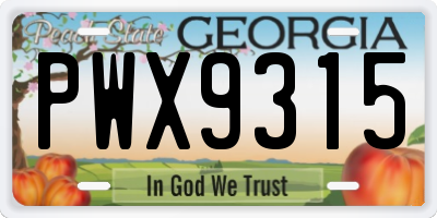 GA license plate PWX9315