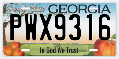 GA license plate PWX9316