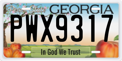 GA license plate PWX9317