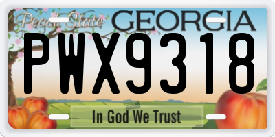 GA license plate PWX9318