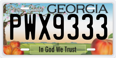 GA license plate PWX9333