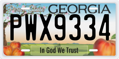 GA license plate PWX9334