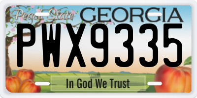 GA license plate PWX9335