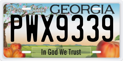GA license plate PWX9339