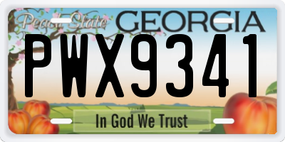 GA license plate PWX9341