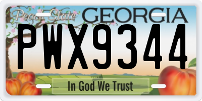 GA license plate PWX9344
