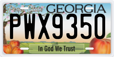 GA license plate PWX9350