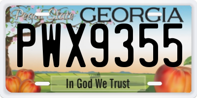 GA license plate PWX9355