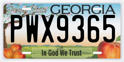 GA license plate PWX9365
