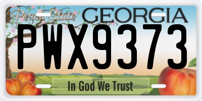 GA license plate PWX9373