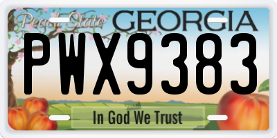 GA license plate PWX9383