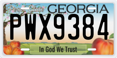 GA license plate PWX9384