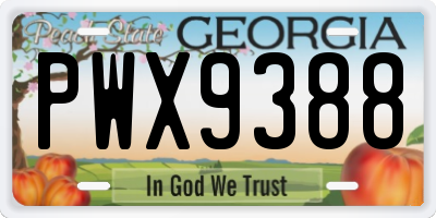GA license plate PWX9388