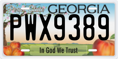 GA license plate PWX9389