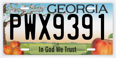 GA license plate PWX9391