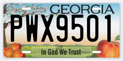 GA license plate PWX9501