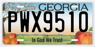 GA license plate PWX9510