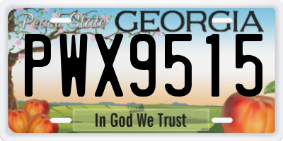 GA license plate PWX9515