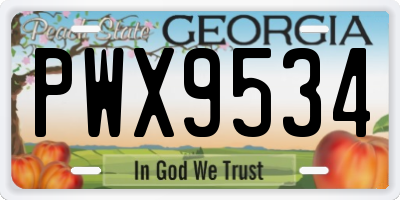 GA license plate PWX9534