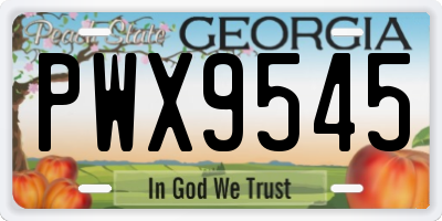 GA license plate PWX9545