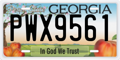 GA license plate PWX9561