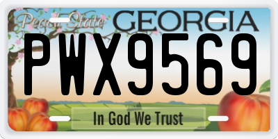 GA license plate PWX9569