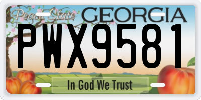 GA license plate PWX9581