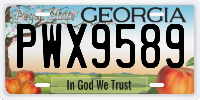 GA license plate PWX9589