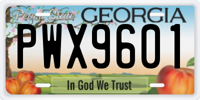 GA license plate PWX9601