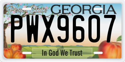 GA license plate PWX9607