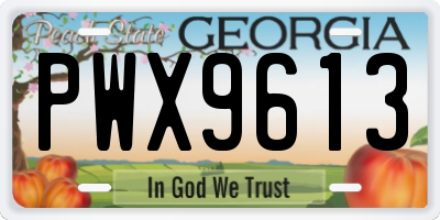GA license plate PWX9613