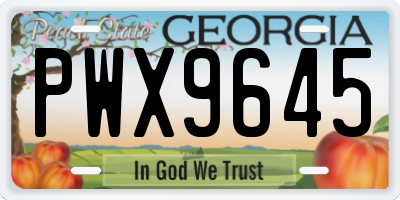 GA license plate PWX9645